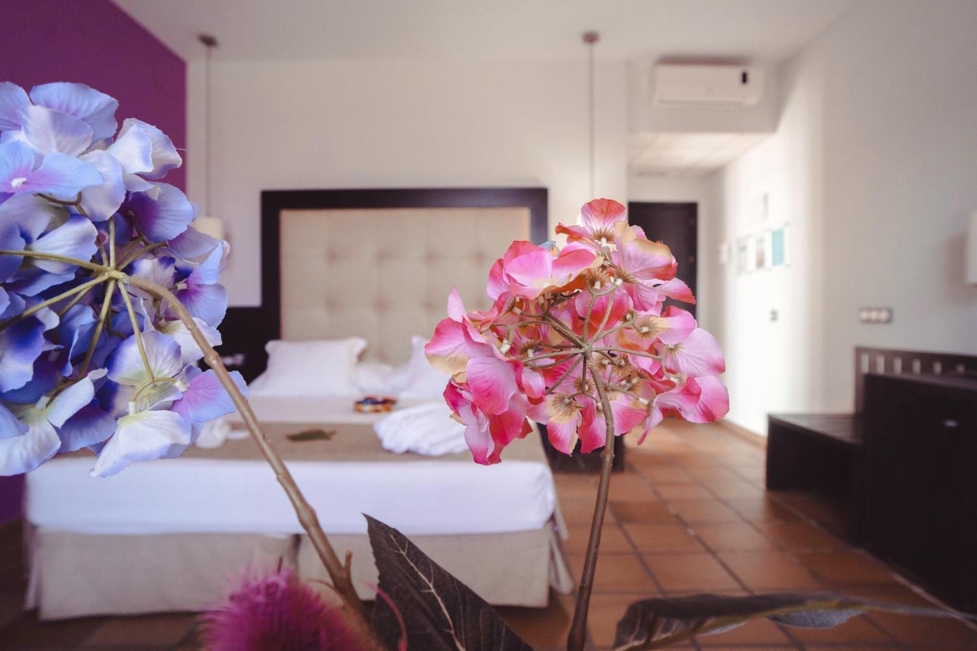 Hotel Albaida Nature ماثاغون المظهر الخارجي الصورة